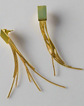 Luxurious gold stainless steel tassel earrings
